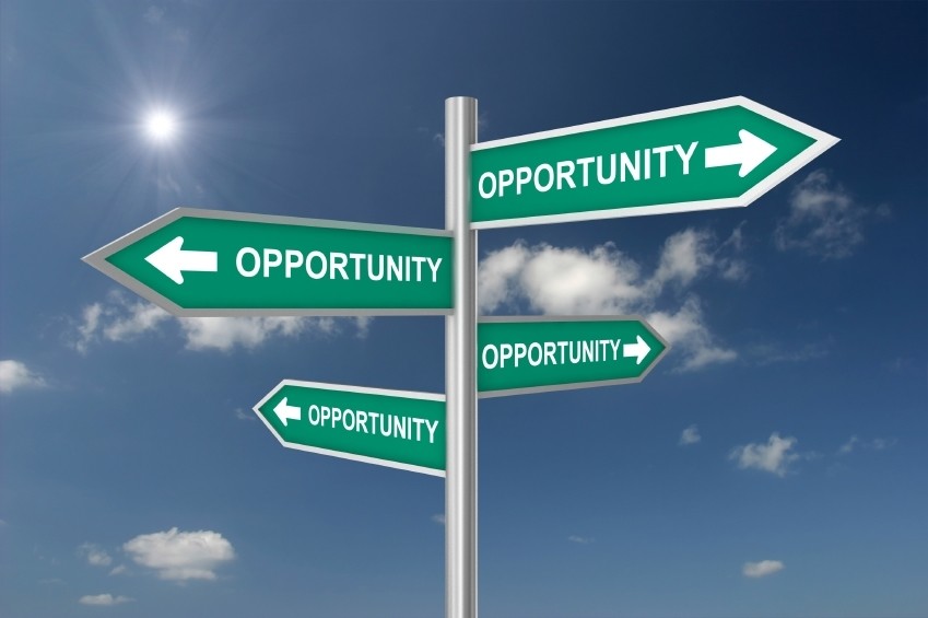  Contribute to the success of the business